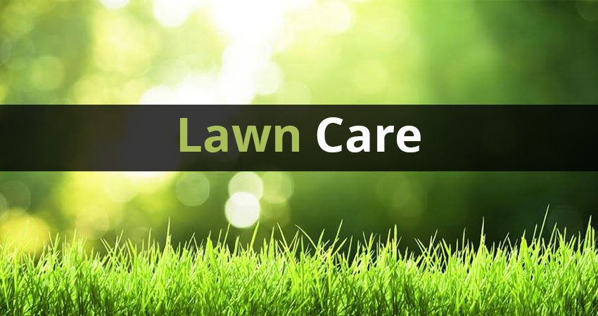 care lawn