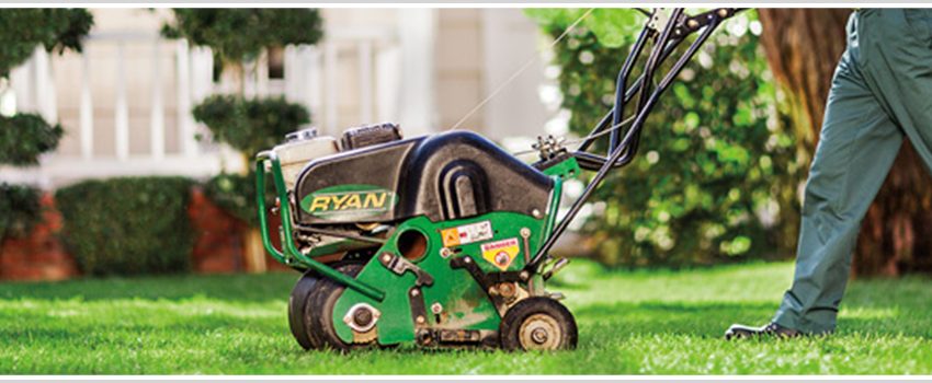 Uncategorized - Blue Grass Lawn Care & Landscaping Service