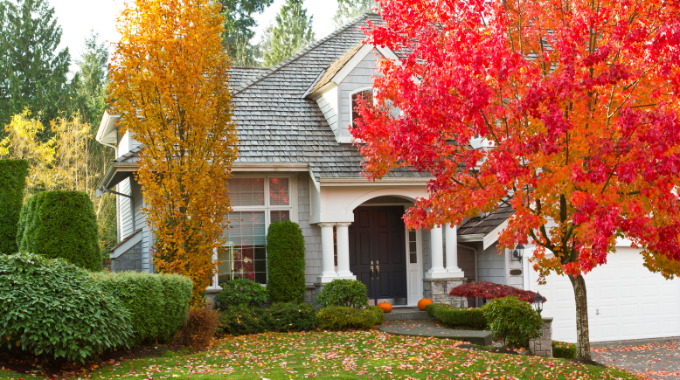 house during the fall Winterized Landscape Plants & Foliage